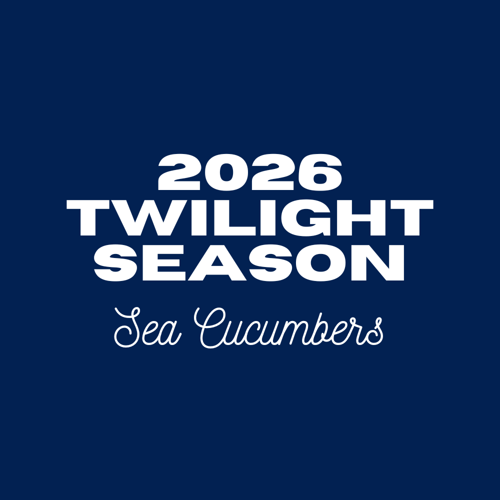 Twilight Season - Sea Cucumbers