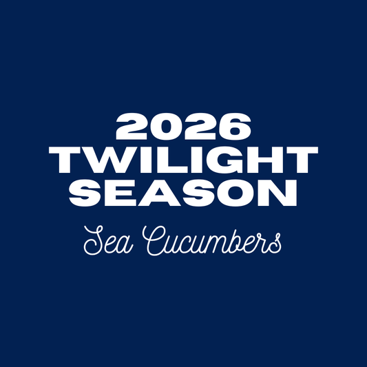 Twilight Season - Sea Cucumbers