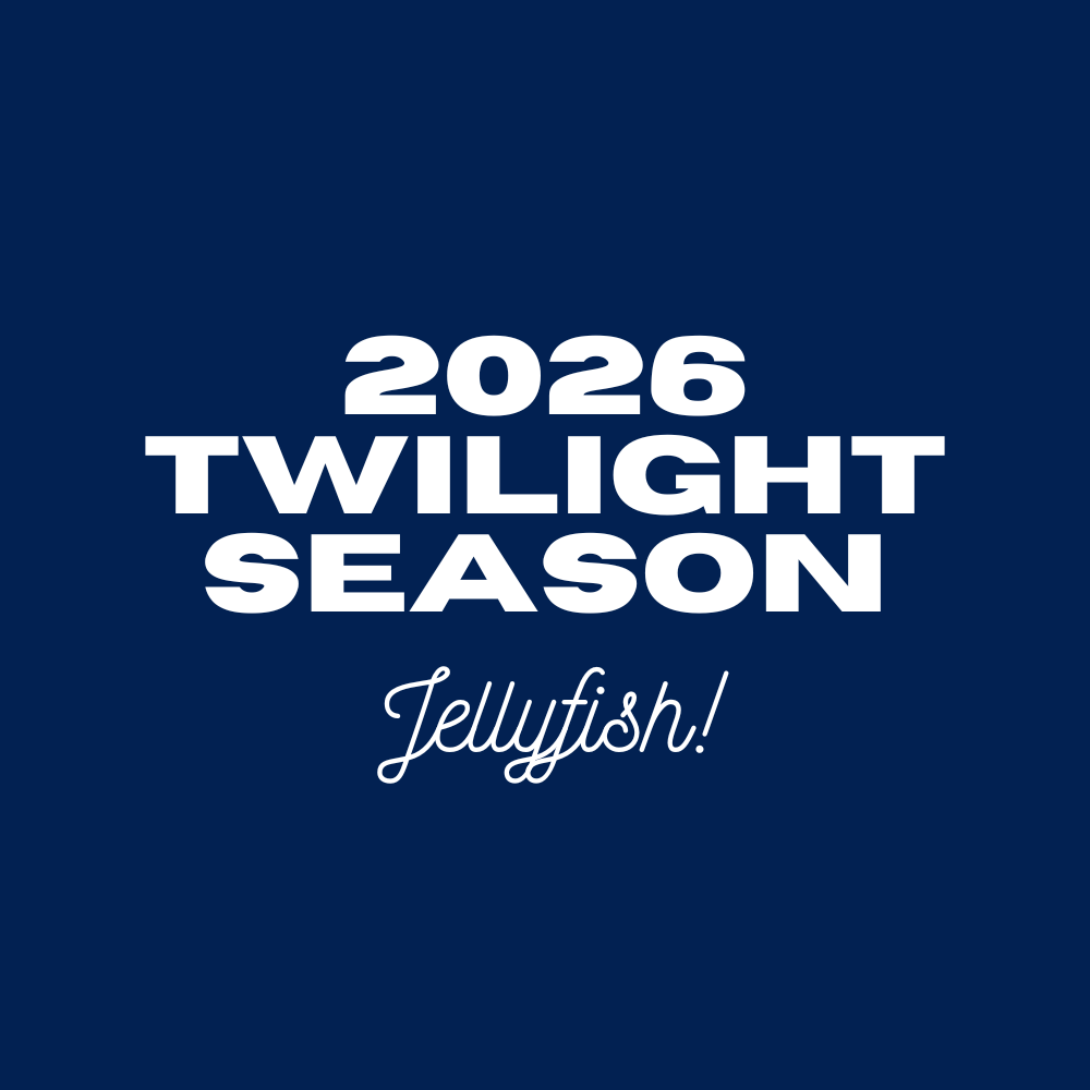Twilight Season - Jellyfish